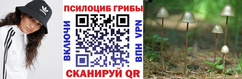 как найти наркотики Ивангород Псилоцибиновые грибы мицелий